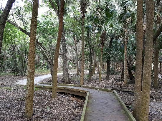 Cullum's Bonita Trail