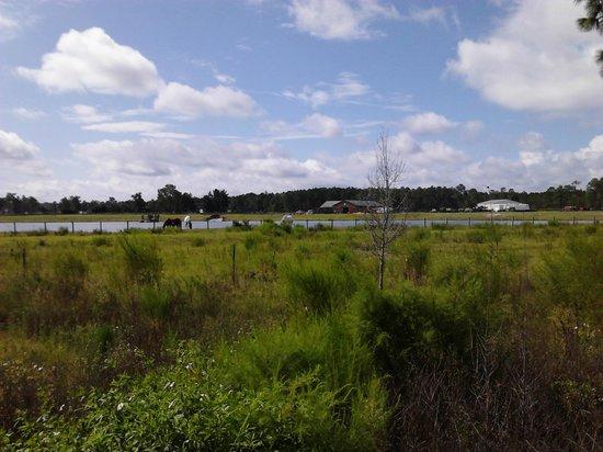 Jacksonville-Baldwin Rail Trail