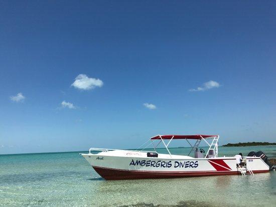Ambergris Divers