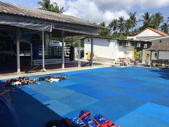 Lamai Muay Thai Camp