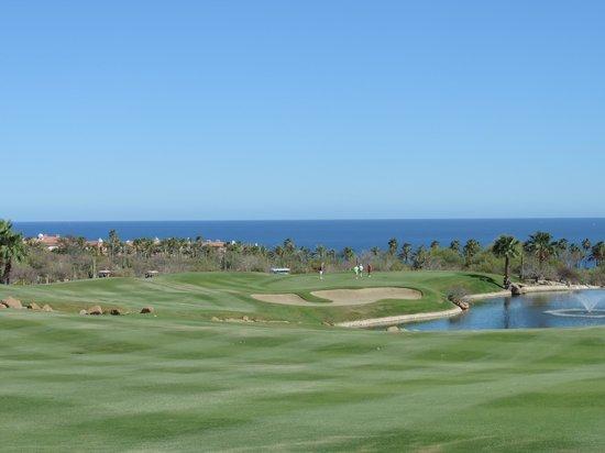 Desert Course at Cabo del Sol