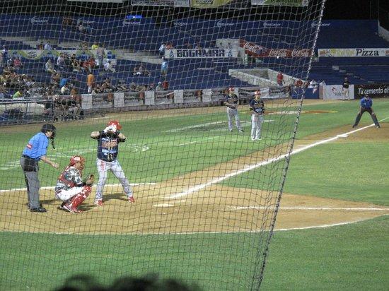 Venados Baseball Club