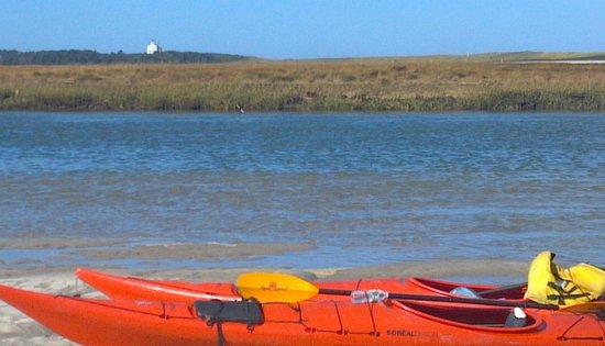 Great Marsh Kayak Tours