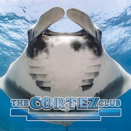 The Cortez Club