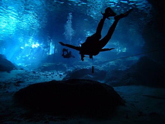 Diving Cenotes Tulum