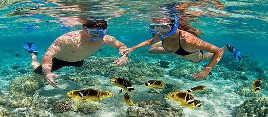 ScubaDive Vietnam