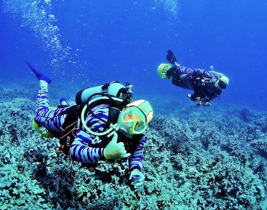 Scuba Luv Maui