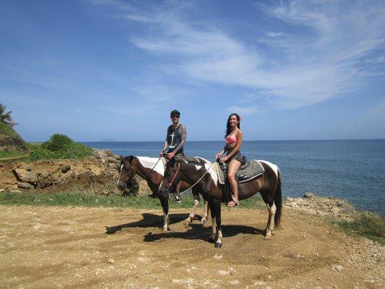 Horseback Rides by Pintos R Us