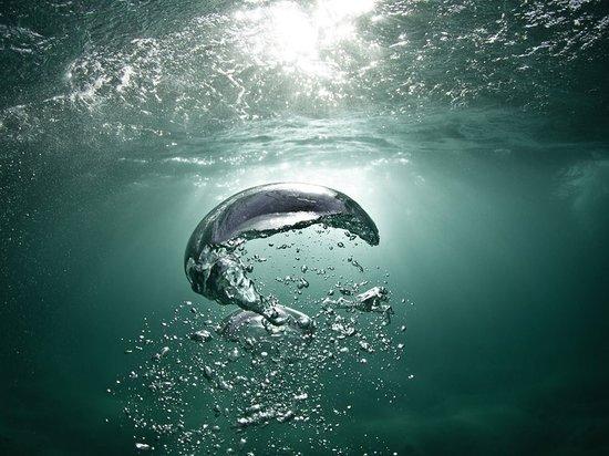 Quelonian Divers