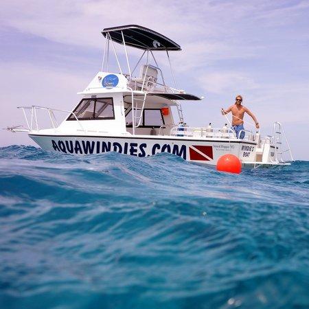 Aqua Windies