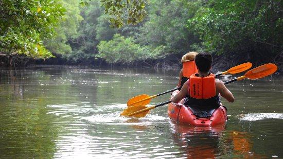 First Level Kayaking Trip