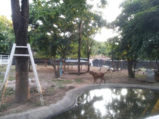 Wonder Farm