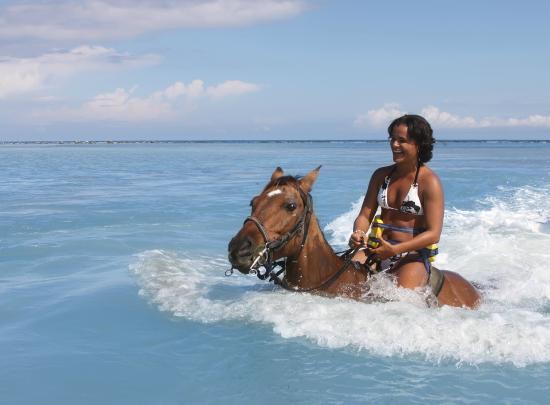 Chukka Caribbean Adventures