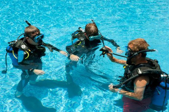 Paradise Divers