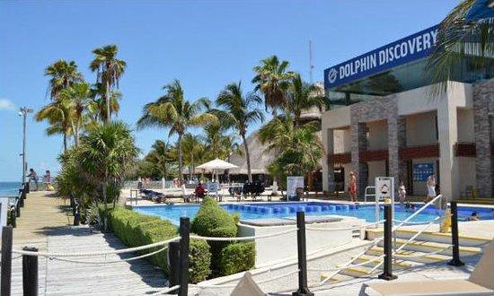 Dolphin Discovery Isla Mujeres