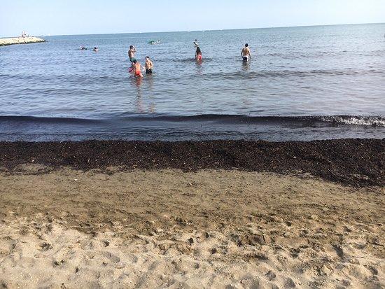 Verde Mare Club