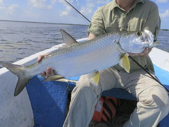 Holbox Tarpon Club