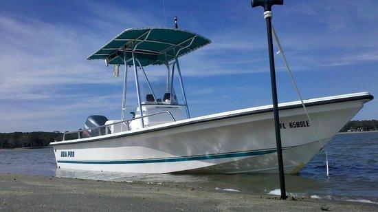 IslandAce Adventure Tours