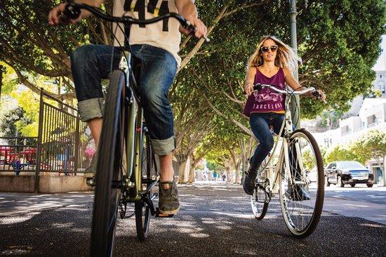 Beach Bike Rentals