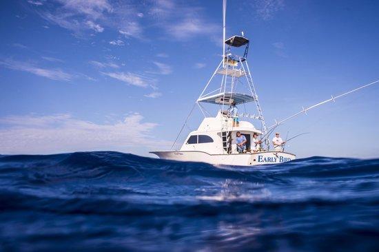 Early Bird Fishing Charters