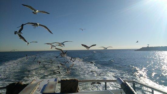Helgren's Sportfishing