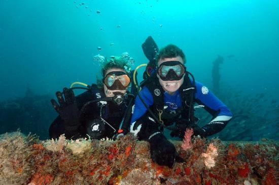 Force-E Dive Center