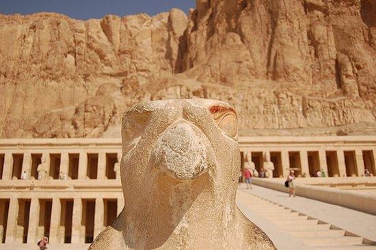 Egypt Tours Portal Day Trips