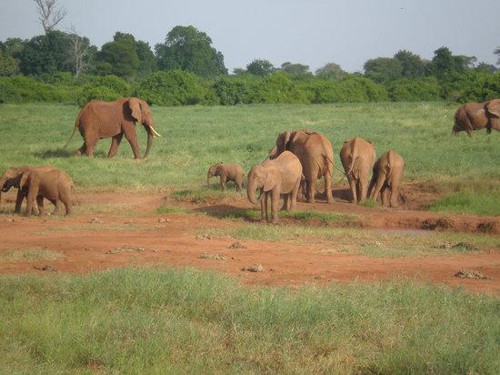 Ombretta Tours & Safaris - Day Tours
