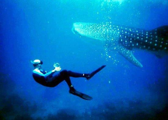 Mactan Scuba Dive Center