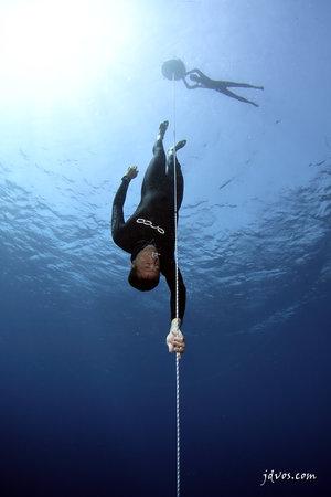 Blue Immersion Freediving