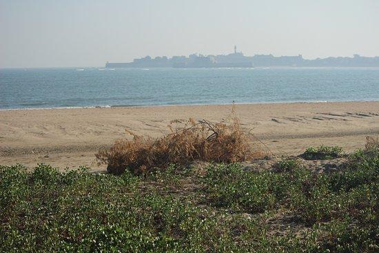 Gomatimata Beach