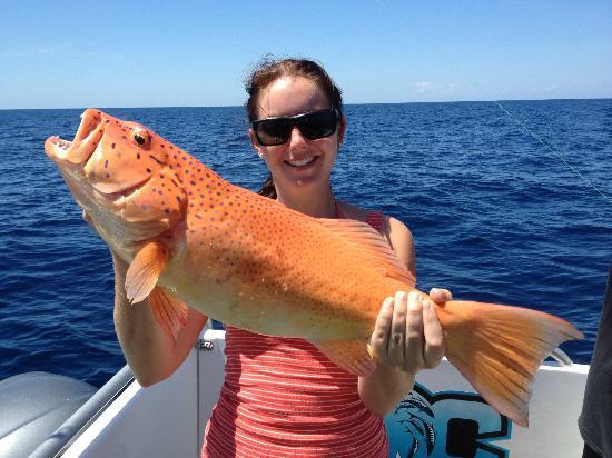 Absolute Ocean Charters