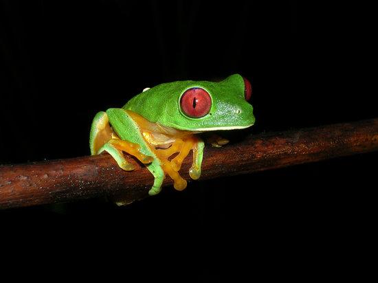 Nature Specialist Tours