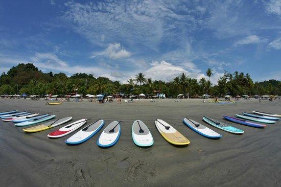 Paddle 9