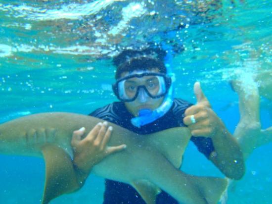 Hicaco Tours Snorkel & Dive