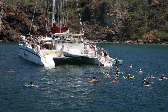 Marlin Sailing Tours