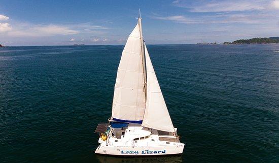 Lazy Lizard Sailing