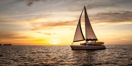 Manta Ray Sailing