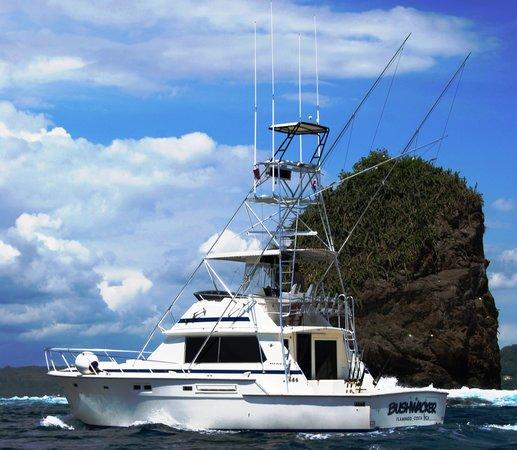 Bushwacker Sportfishing