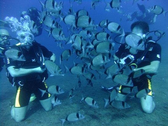 DGR Scuba Diving