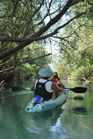 Acheron Canoe Kayak Day Tour