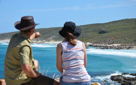 South West Eco Discoveries