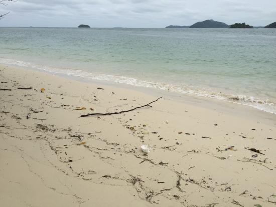 Seastar