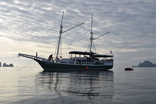 Krabi Spesialisten