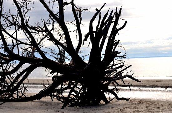 St Andrews Beach