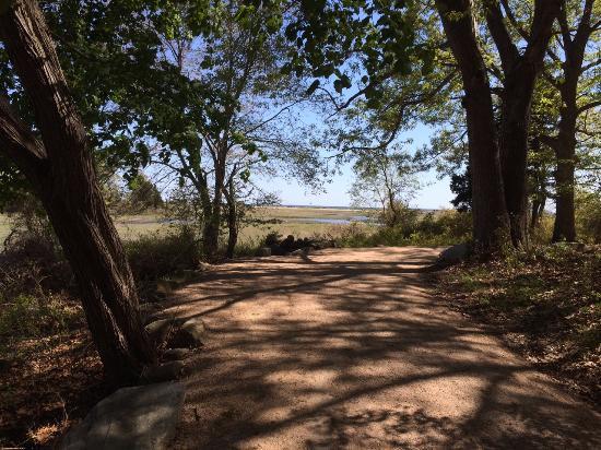 The Shoreline Greenway Trail