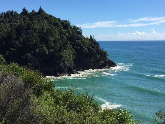 Orokawa Scenic Reserve