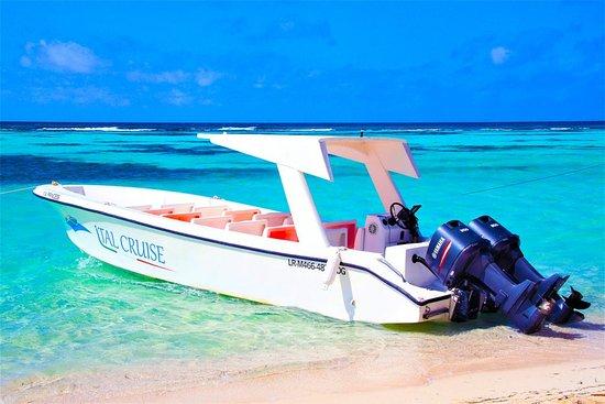 Italcruise
