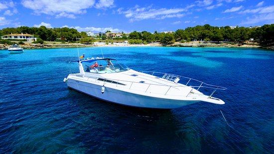 Hayes Charters