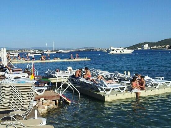 Paparazzi Beach Club
